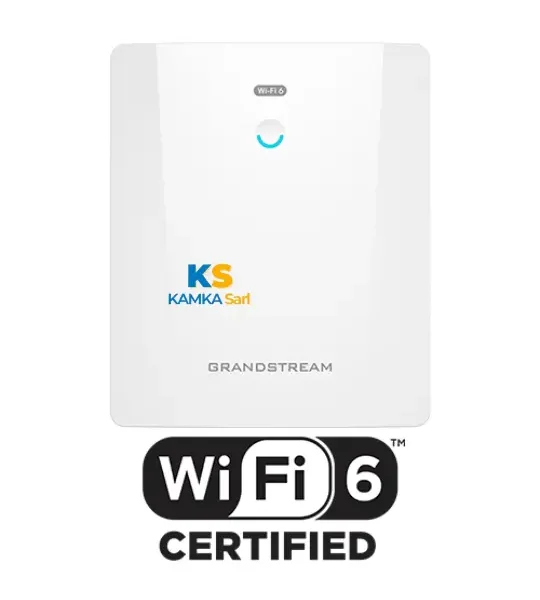 Point d'accès Wi-Fi 6 extérieur AX6000 GRANDSTREAM GWN7664ELR Wi-Fi 6
